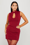 Wine High Neck Keyhole Detail Sleeveless Mini Dress