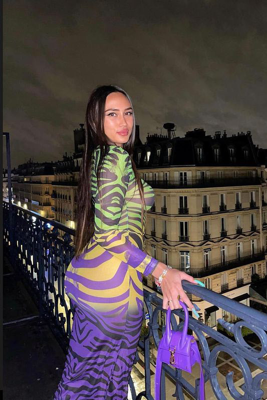 Multi Zebra Print Sheer Mesh Long Sleeve Midi Dress